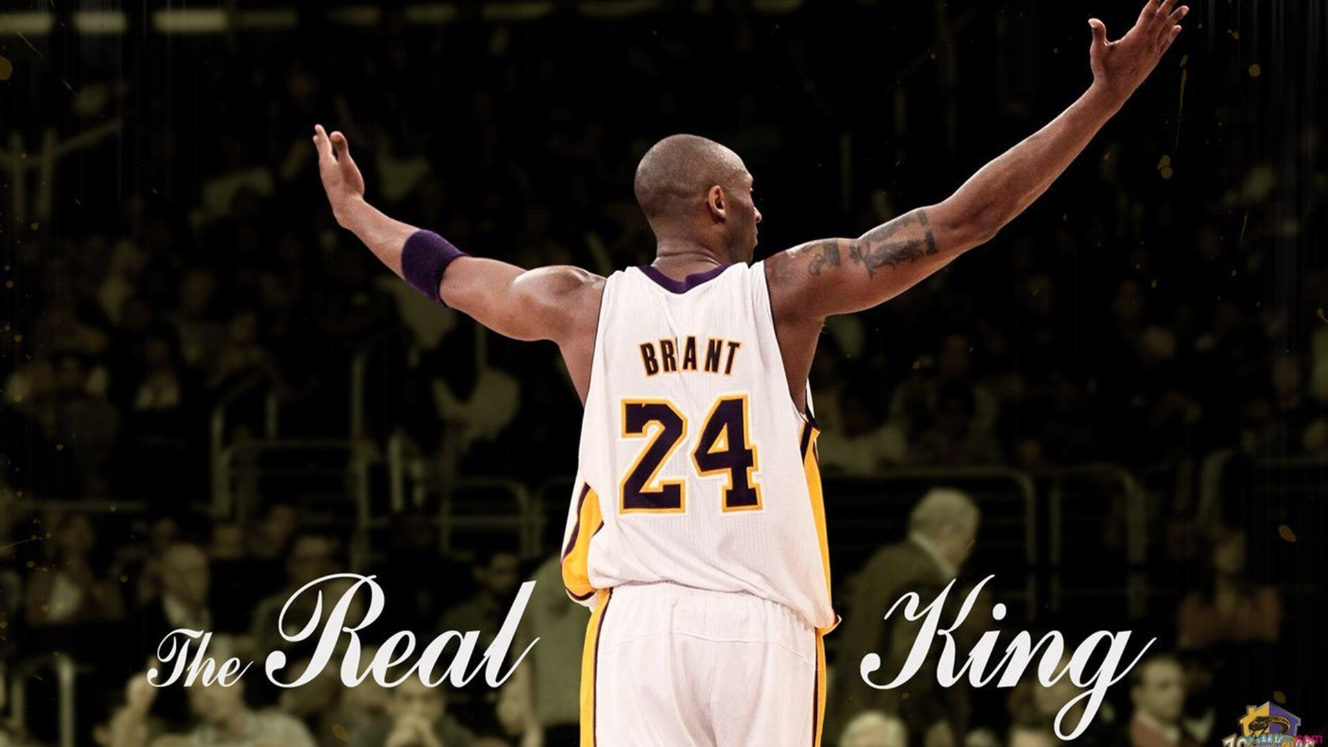 kaiyun官方入口登录-“未来之星”青少年篮球素质公开课在广州同步开启，打造高水平训练体系