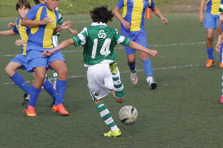 开云体育官方网站网址-中国足球外援依赖度趋势分析，中国足球外援依赖度趋势分析图