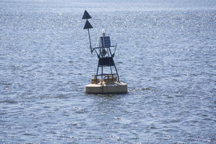 开云体育-中方蝶泳入水角度更锐利？图解数据分析，中国蝶泳厉害吗